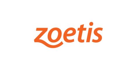 First Genomic Test for Jersey Cattle Launched by Zoetis