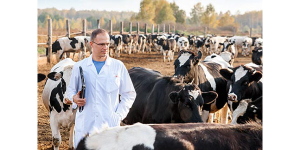The Show-Me Heifer Program Educational Seminar will focus on heifer development and use of EPD's and genomic evaluation. (Courtesy of University of Missouri Extension)