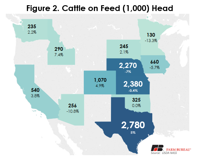 Large Placements Revealed in November Cattle on Feed Report Dairy