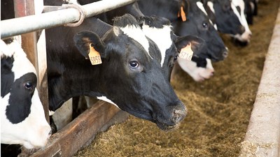 Penn State research demonstrates significant increase in feed ...