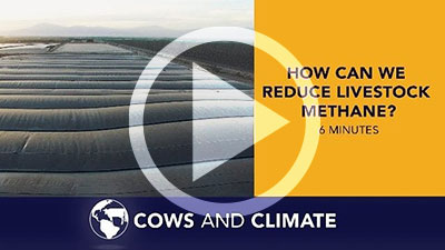 Dairy Sustainability