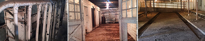 Dairy Barn Now 3 shots