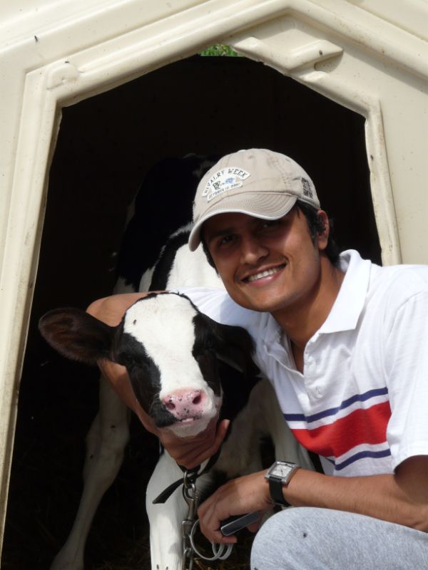 trainee and calf
