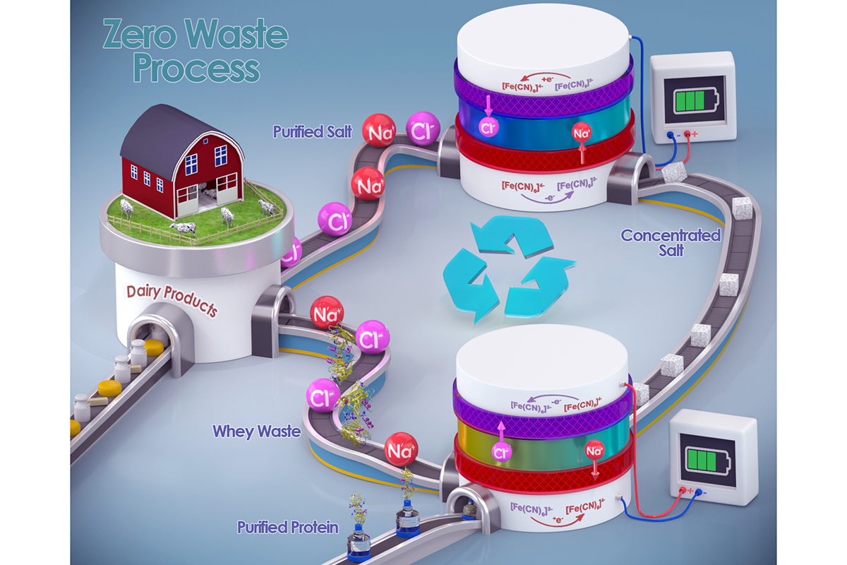 A graphical representation of the new whey-processing method.