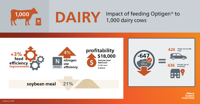 "dairy optigen"