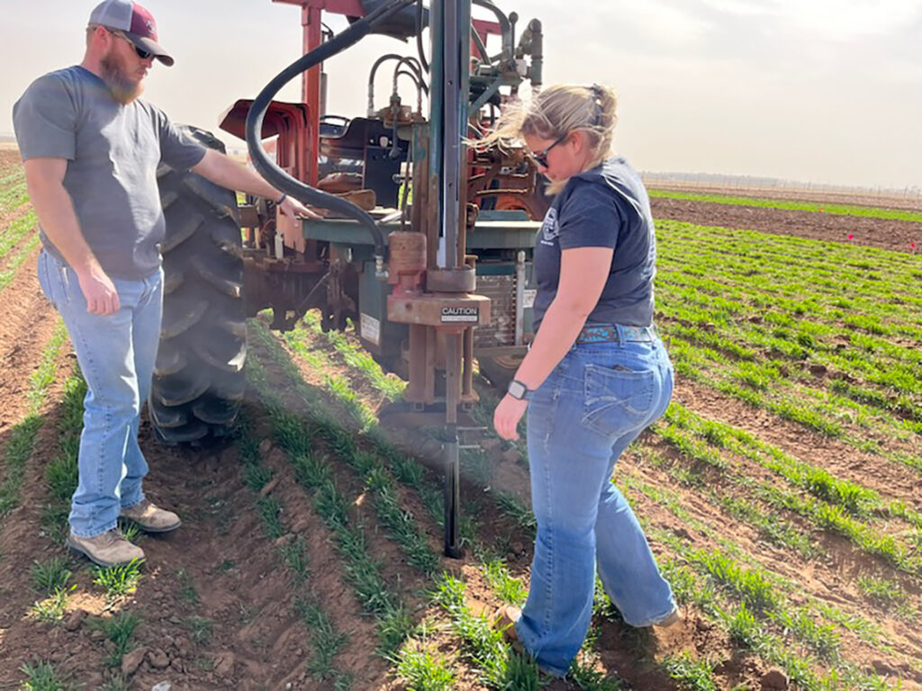 A bearded man and a woman stand with a soil sampling machine between them in a field of young, green wheat