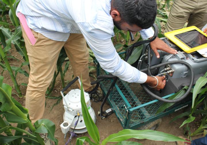 Person uses greenhouse gas equipment in corn field.