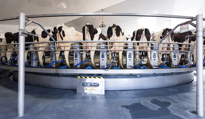 DeLaval Rotary E500 Selected as ‘Dairy Productivity Solution of the ...