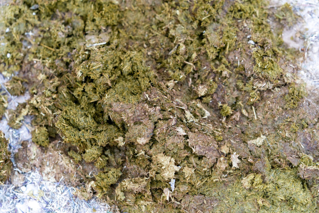 Cattle manure. 