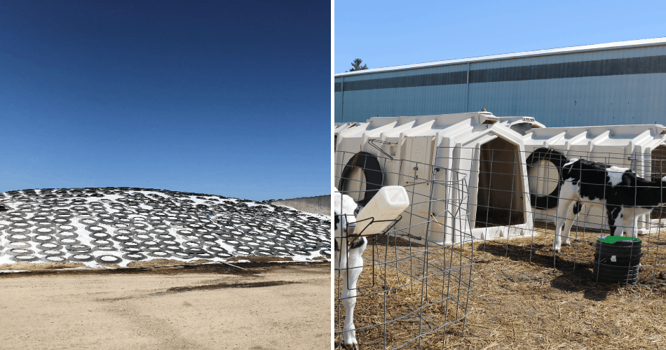 Car tires on top of stored crops and calf hutches