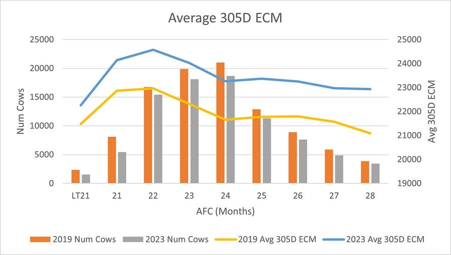 Distribution of the number of calves by age for first lacation in 2019 and 2023. And overlay of ECM production by year. Note: less calves in 2023, but higher ECM production