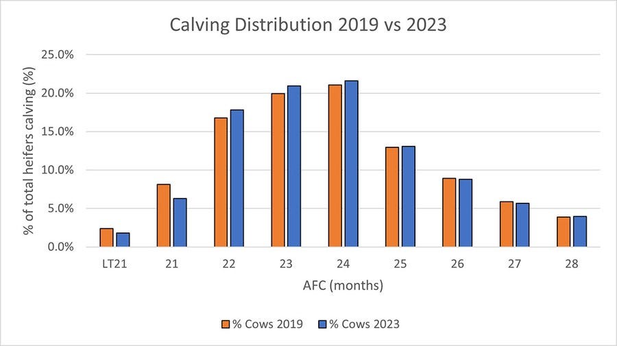 Distribution of calving age for first lactation comparing 2019 to 2023. Results are similar