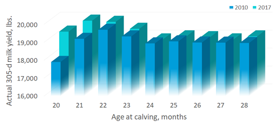 Average milk production by age of calving for first lactation comparing 2010 to 2017. Note at 20 and 21 months, the milk production is less for 2017 calves.