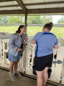 ALDI Sustainability tour attendees enjoyed meeting calves. 