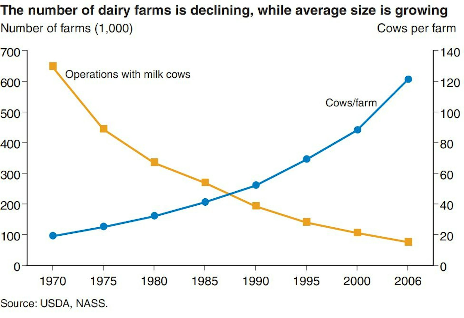 A chart shows number of farms falling since 1970s and cows per farm rising in an inverse fashion.
