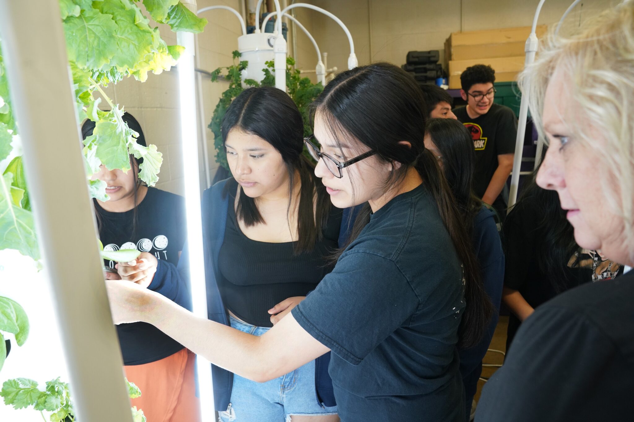 Three students gather around a hydroponic tower to examine lettuce leaves.