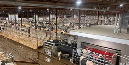 XL farm