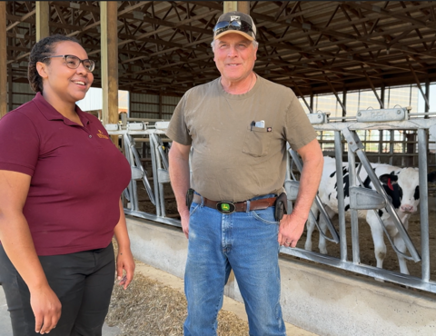 Two people hold a conversation with holstein cows behind them.