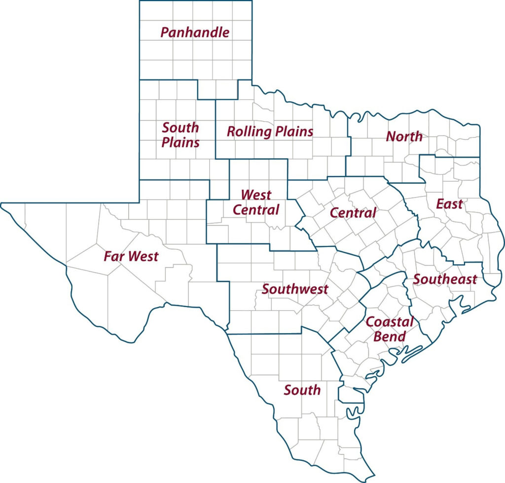Texas dairy producers offset lower milk prices with higher calf prices ...