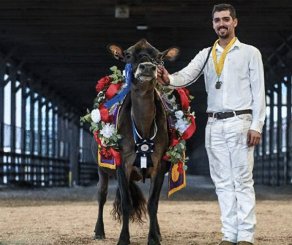 Brent Rocha Received National Young Jersey Breeder Award
