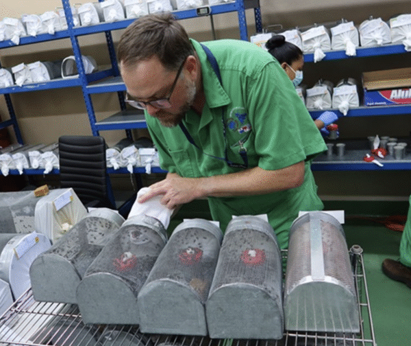NovoFly™ Screwworm Strain Readied for Active Duty