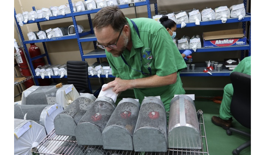 NovoFly™ Screwworm Strain Readied for Active Duty