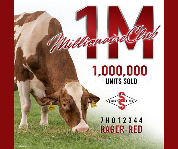 RAGER-RED Becomes First Red-and-White Sire in North America to Reach One Million Units Sold