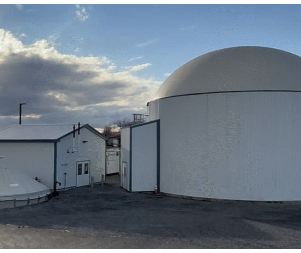 Mixing plant material with manure may be key to profitable biogas production